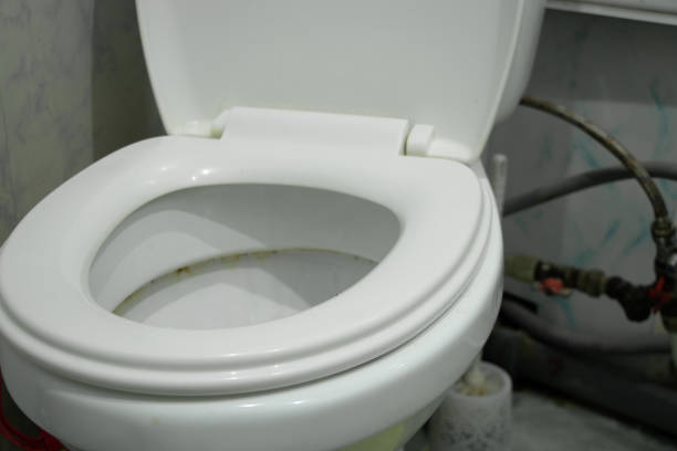 DIY metal scratch removal from toilet bowl with household items in action