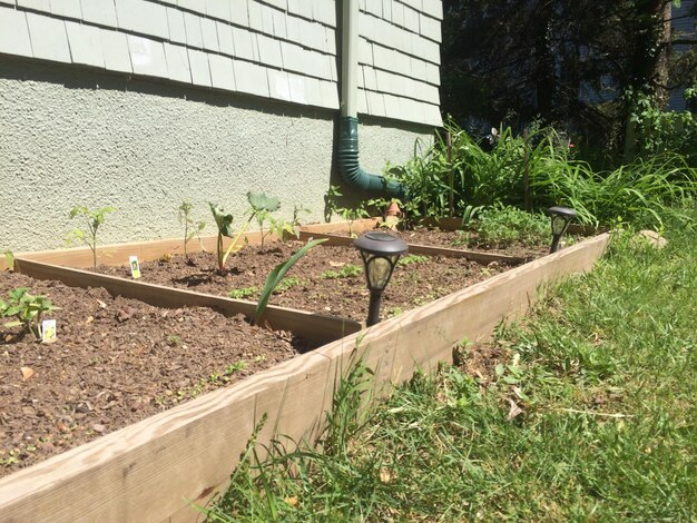 Low-maintenance landscaping for small yards: a raised garden bed with drought-resistant plants 